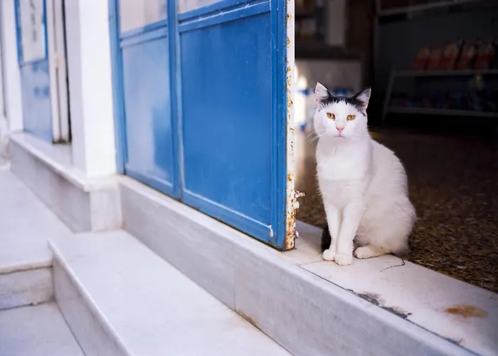Villa Wonderful Santorini 1 Bedroom Elegance Private Pool&phenomenal Sea Views Finikia *